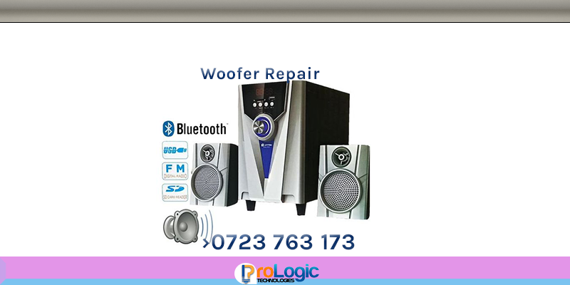 Amtec Woofer Repair in Nairobi, Kenya › 0101763173